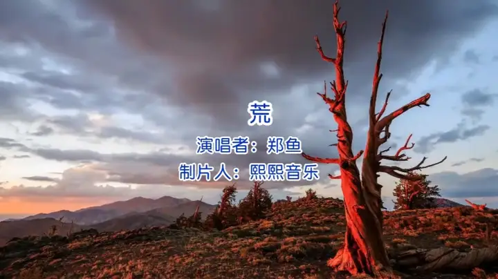 荒